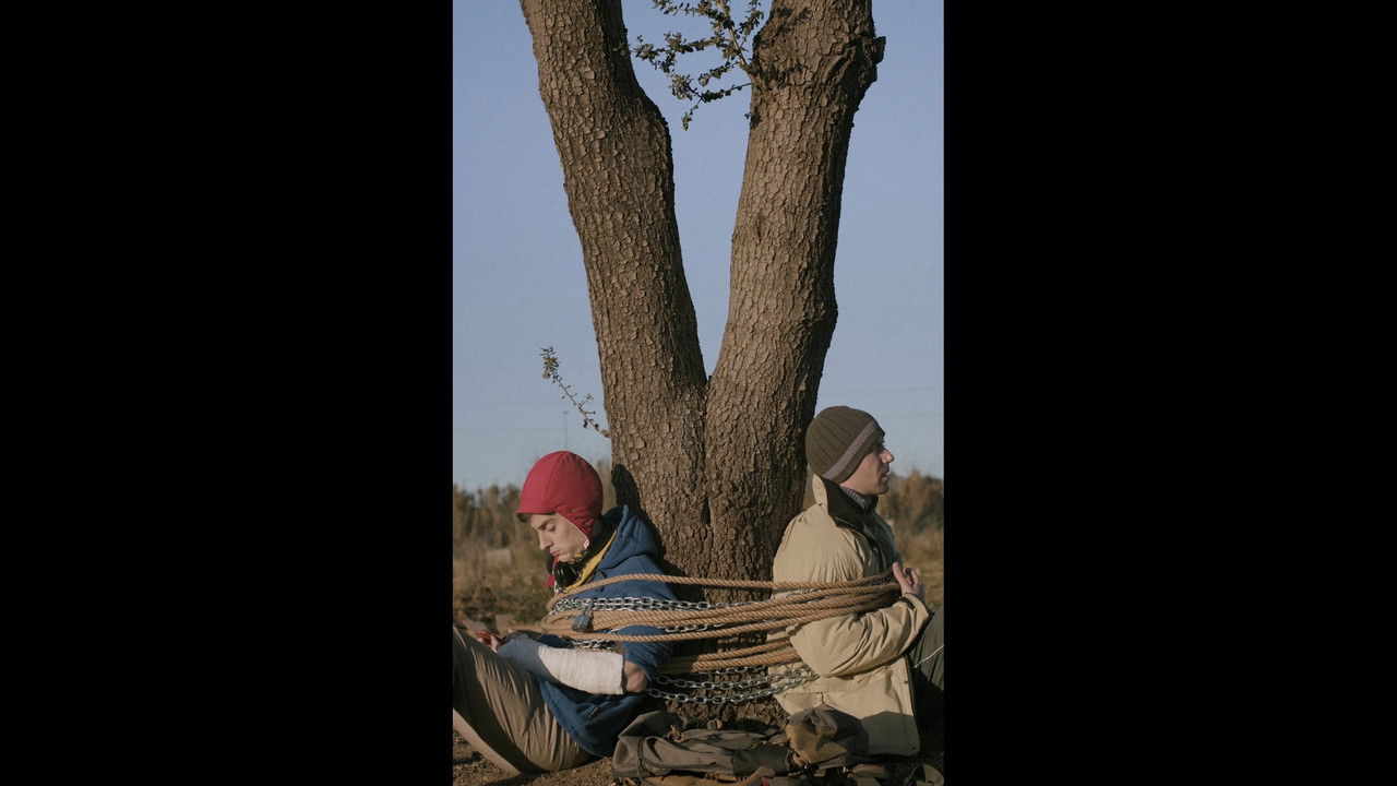 The silent cry of the trees backdrop