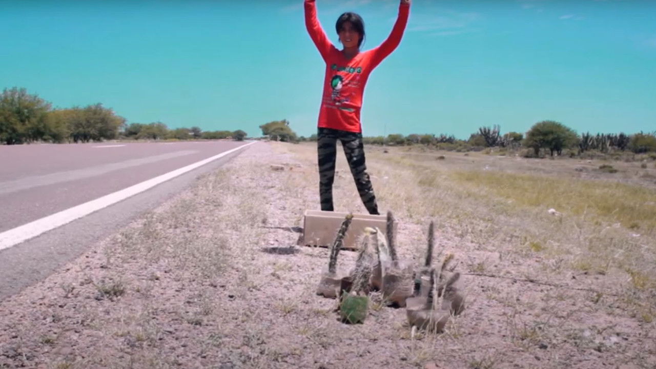 Los vendedores de tortugas backdrop