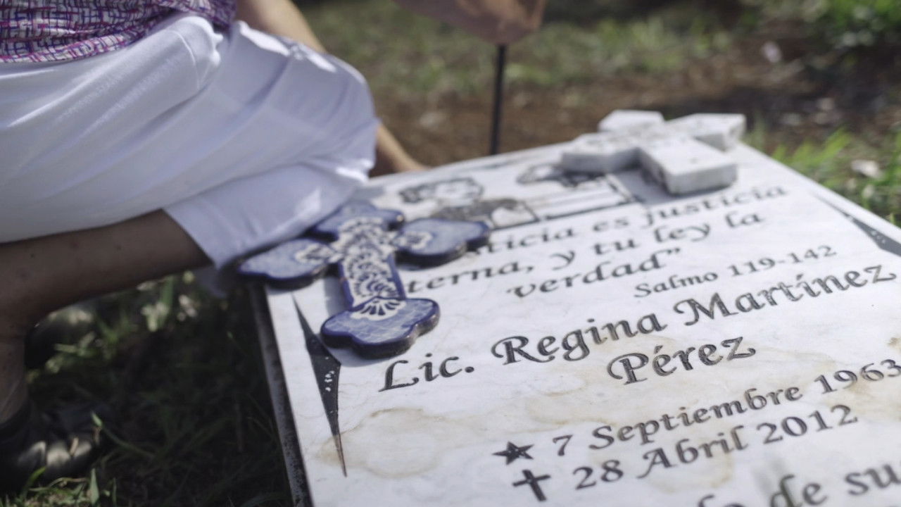 The Cartel Project backdrop