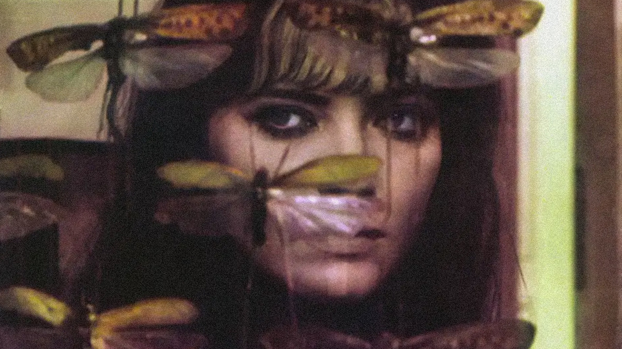 The Wedding Ring backdrop