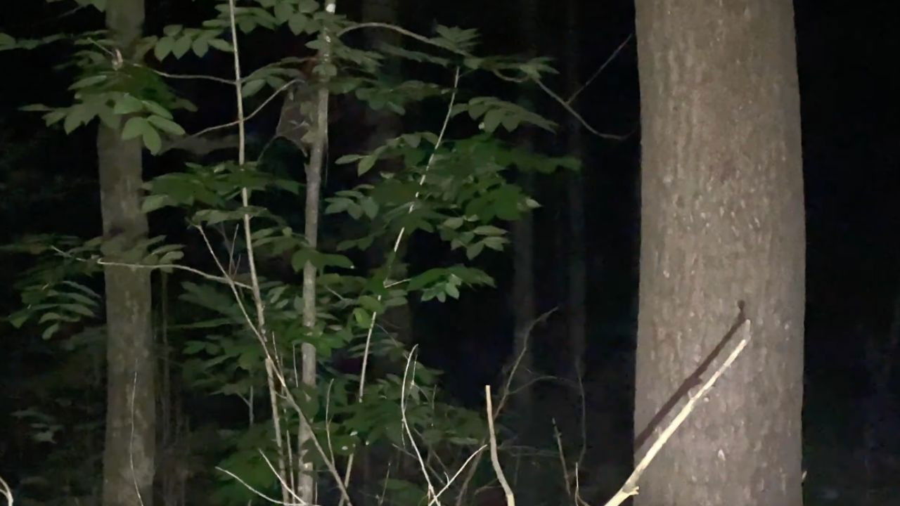 vingt deux heures vingt deux. backdrop