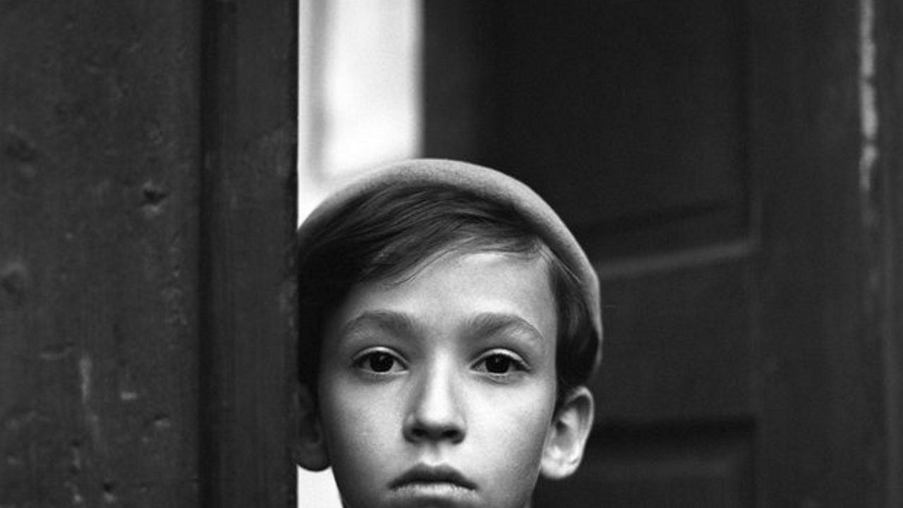 Little Chickadee backdrop