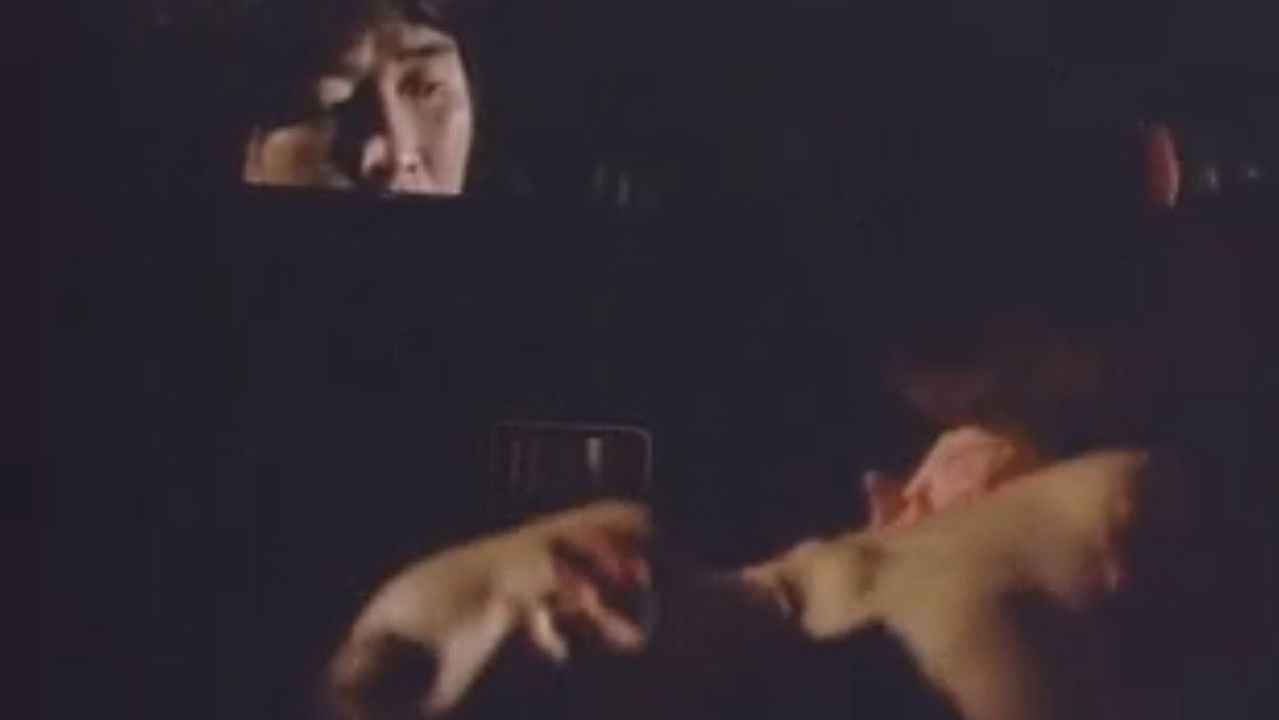 Serial Rapist backdrop