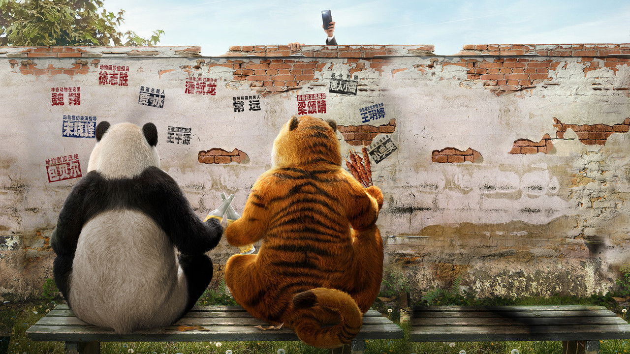 Follow Bear to Adventure backdrop