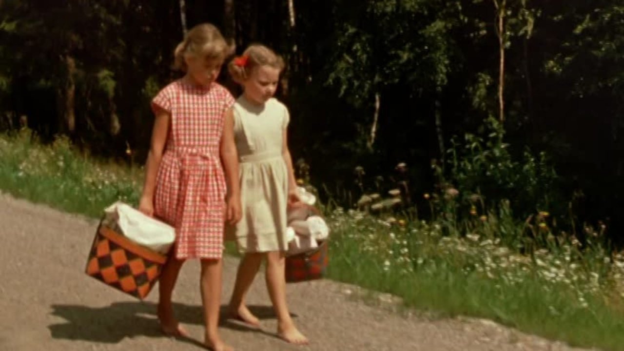 Only Fun in Bullerby Village backdrop