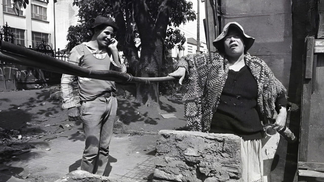 Brasileiras e Brasileiros backdrop