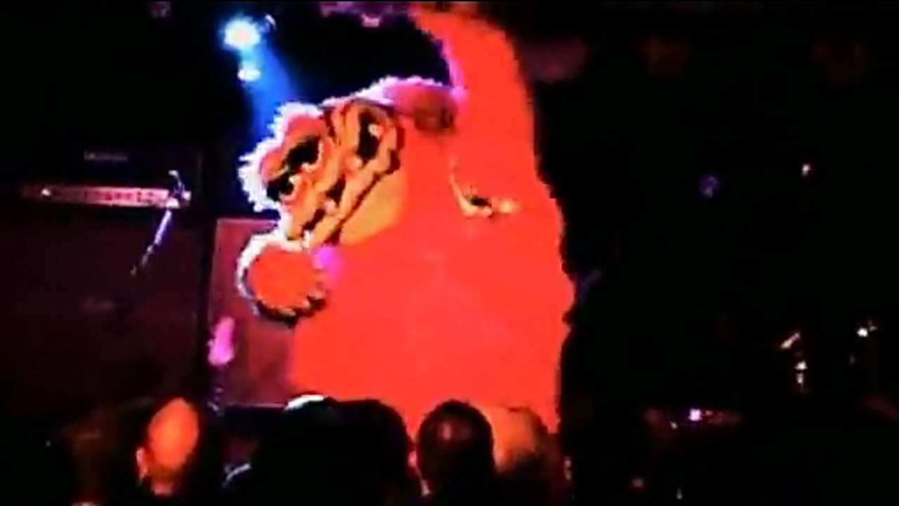 Dinosaur Jr: Live in the Middle East backdrop