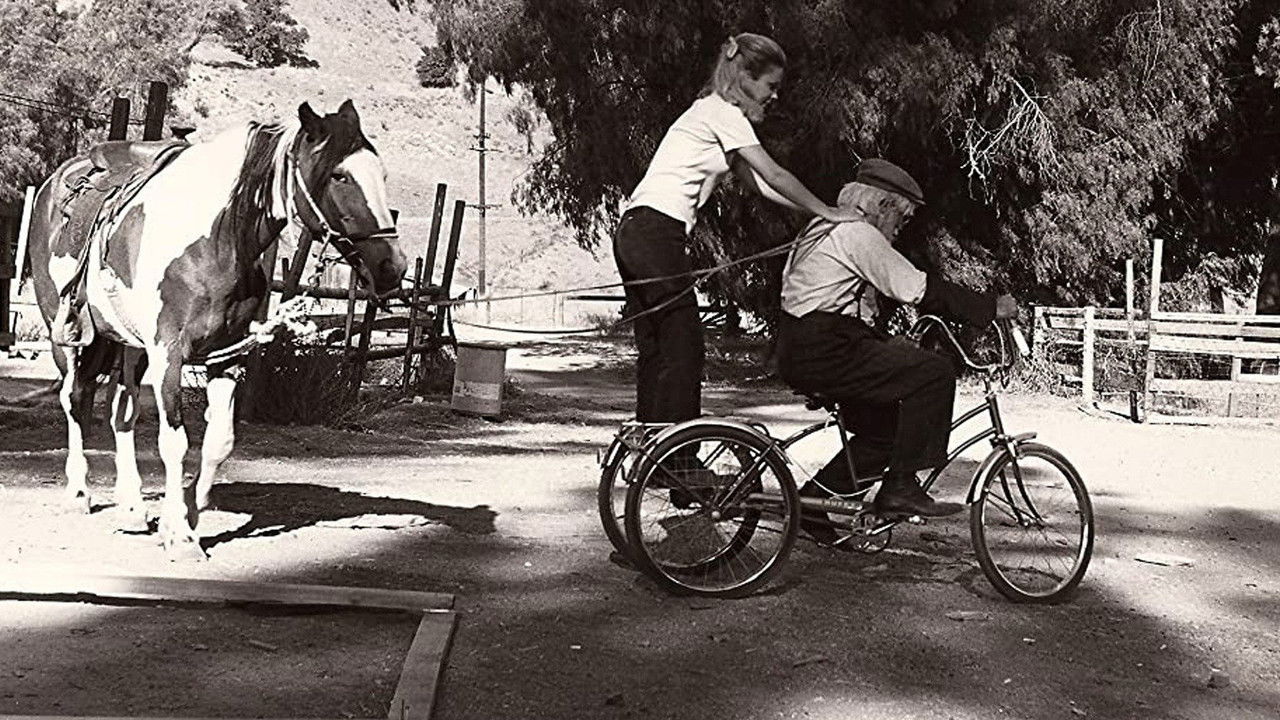 The Man from Clover Grove backdrop