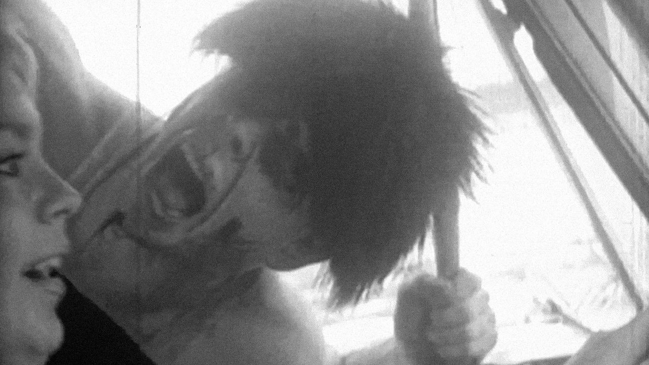 Passion in the Sun backdrop