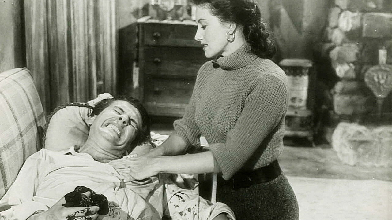 Taming Sutton’s Gal backdrop