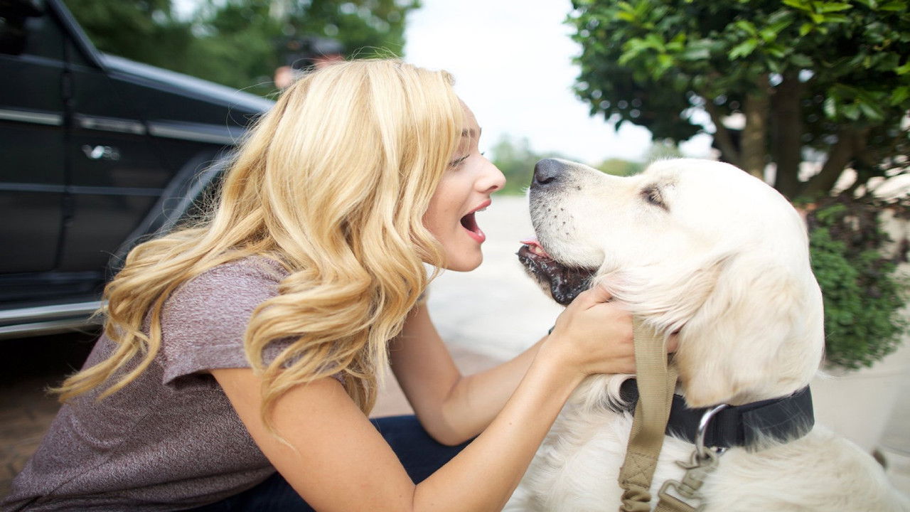 Love for All Seasons backdrop