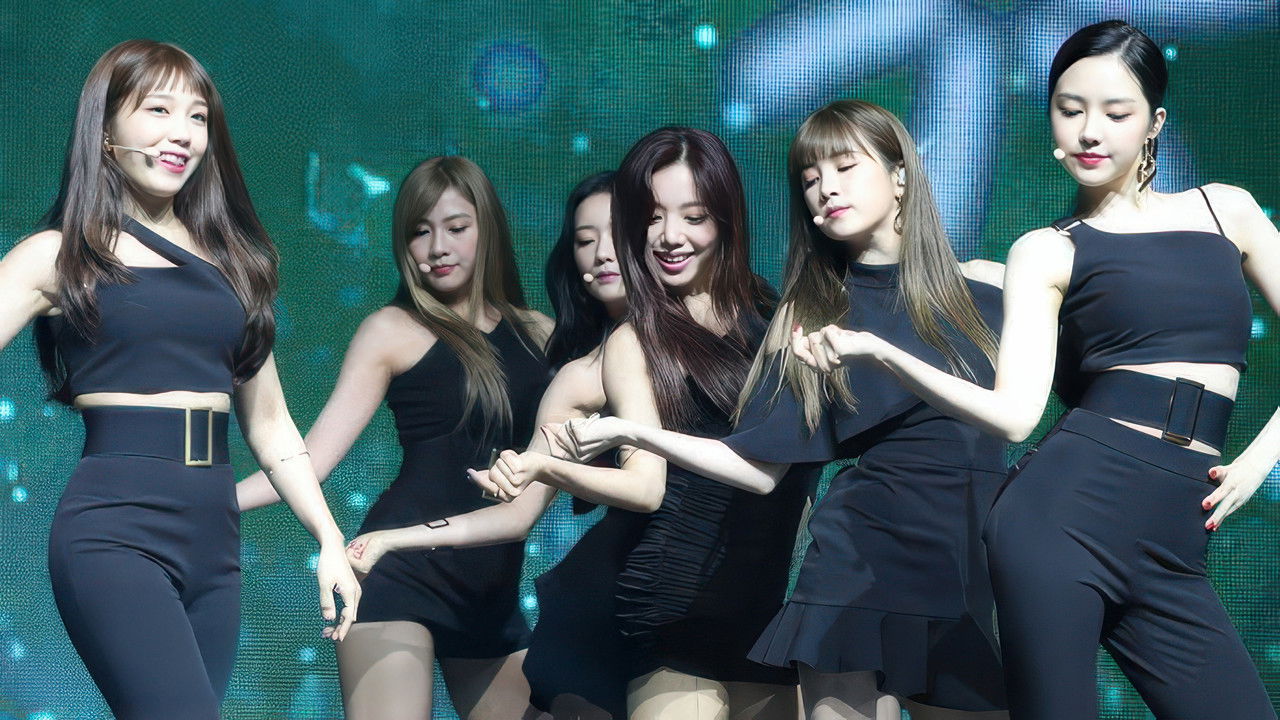 2019 Pink Collection: Red & White backdrop