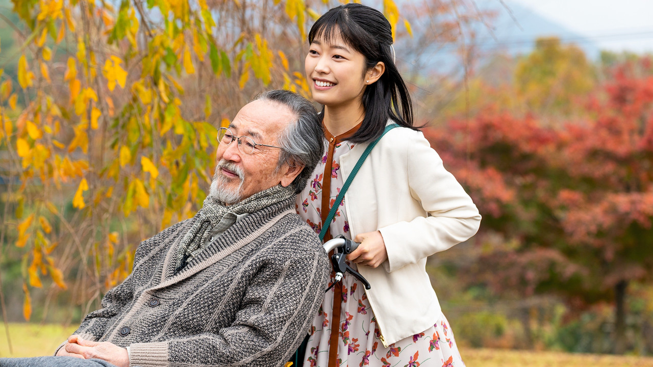 Before the Sunset backdrop