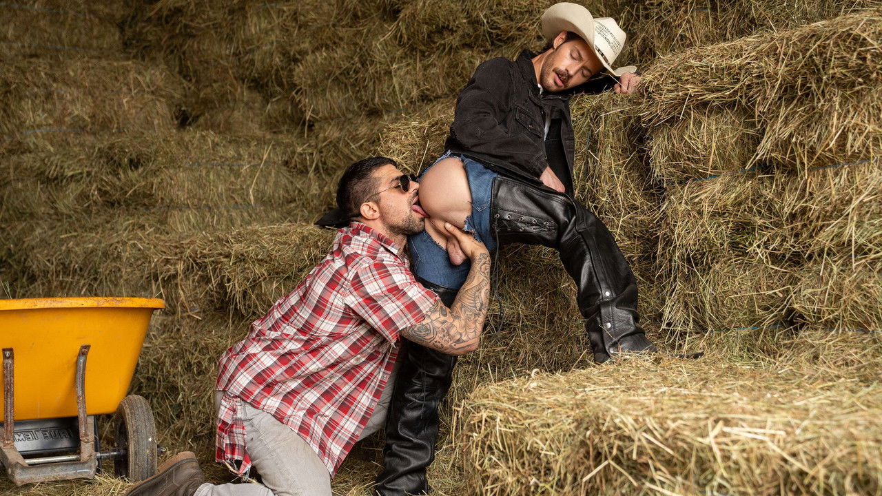 Saddle Uptown backdrop