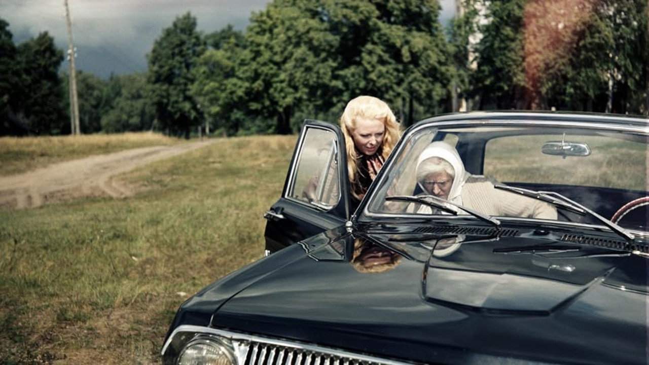 Gift for a Single Woman backdrop