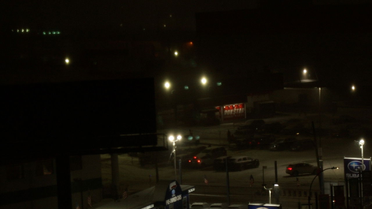 a walk with homer j. backdrop