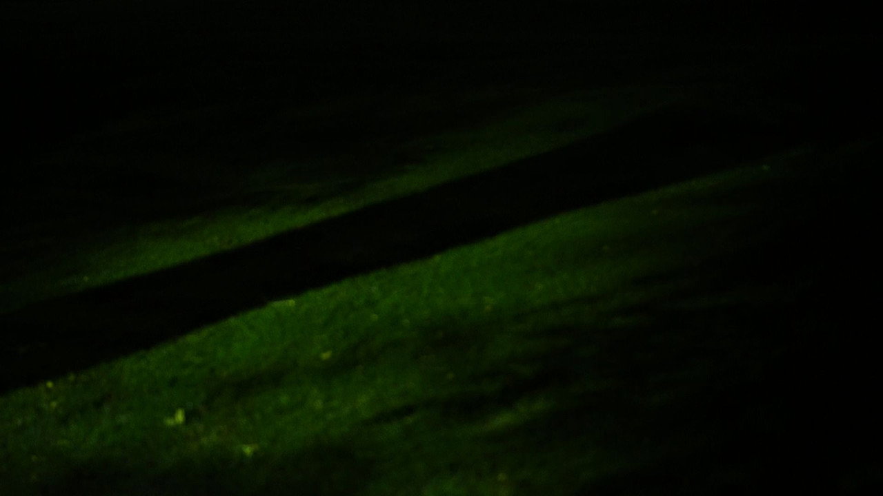 The Shape of the North Star backdrop