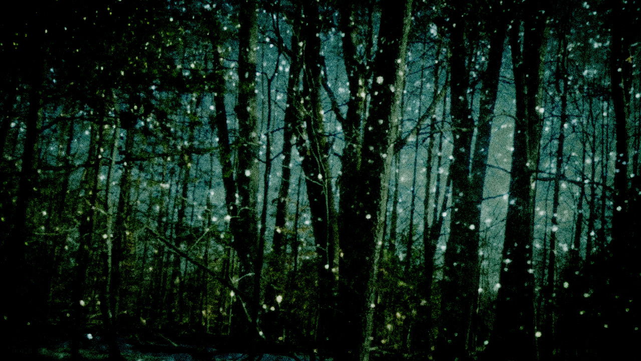 Falling Star backdrop