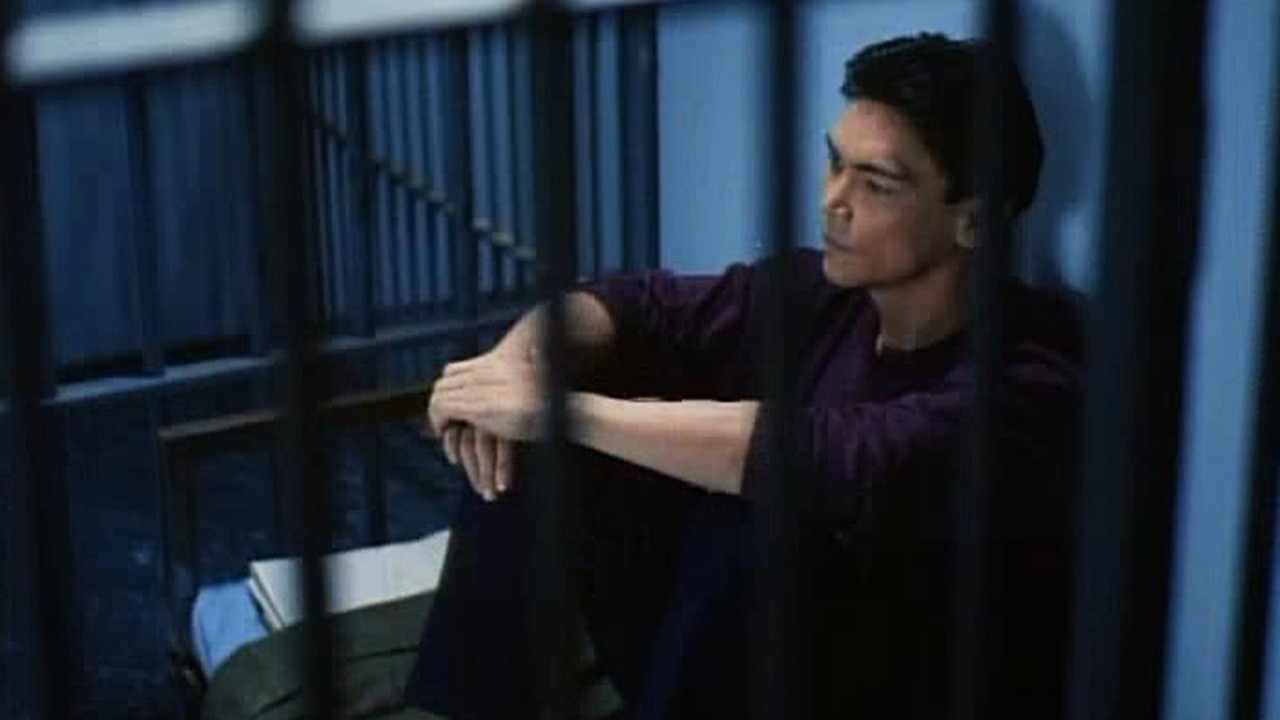 Bloodfist V: Human Target backdrop