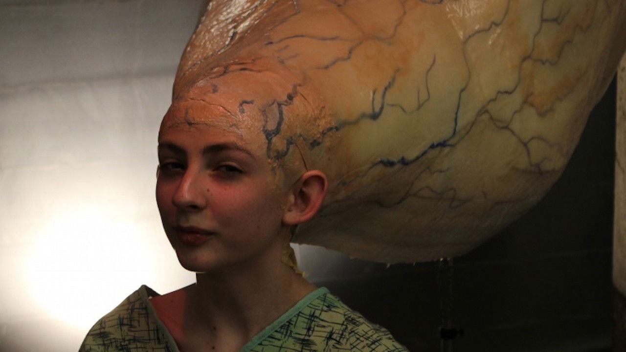 The Vetting backdrop