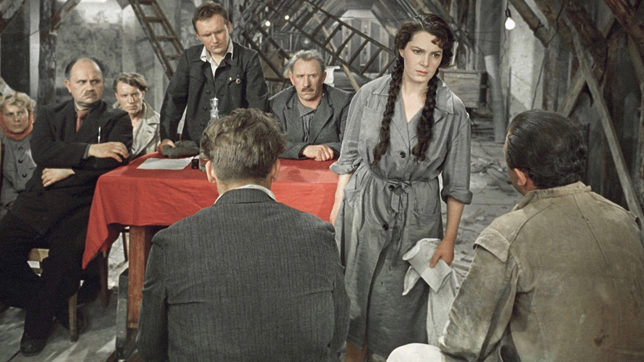 The Volunteers backdrop