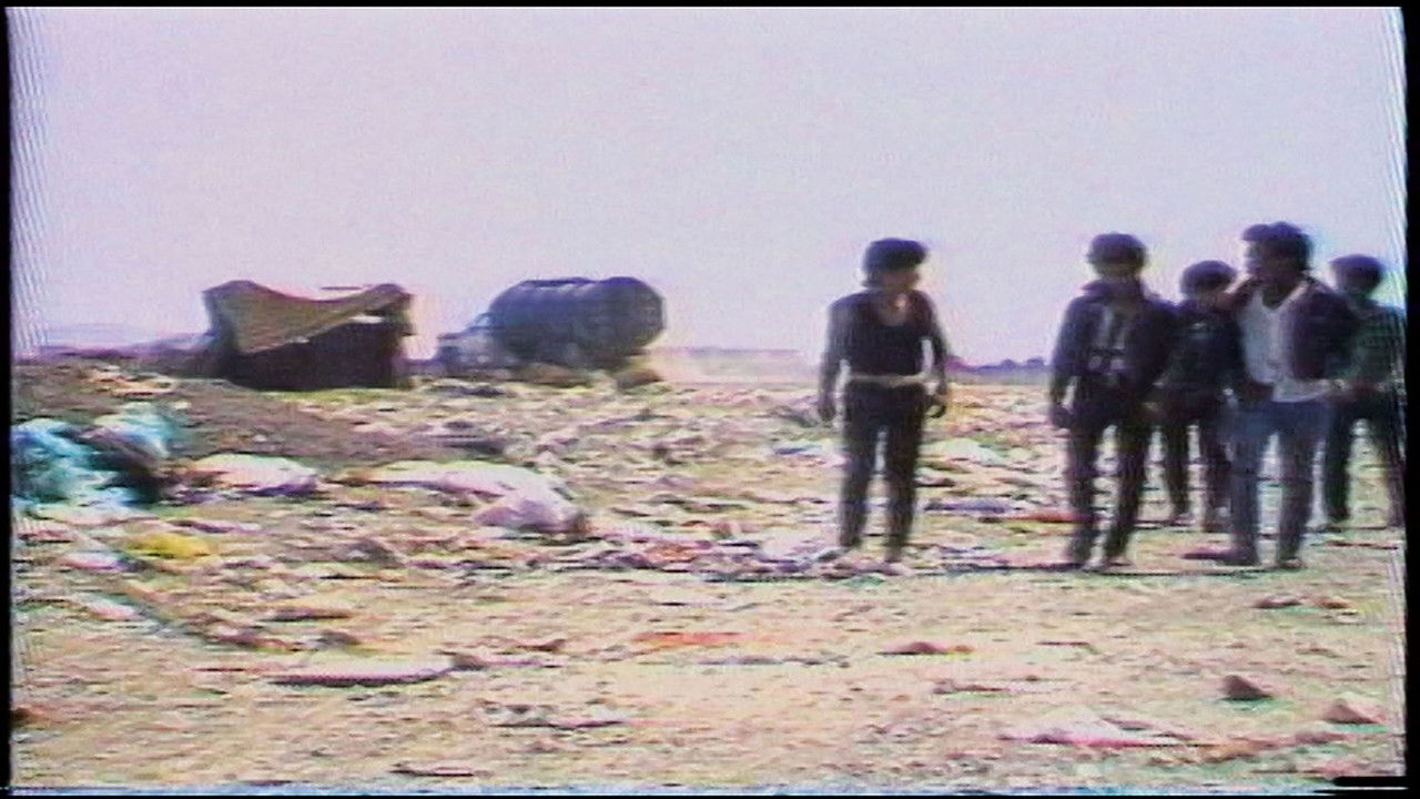 Nobody Is Innocent backdrop