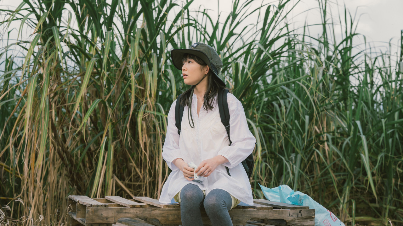 Purehearted backdrop