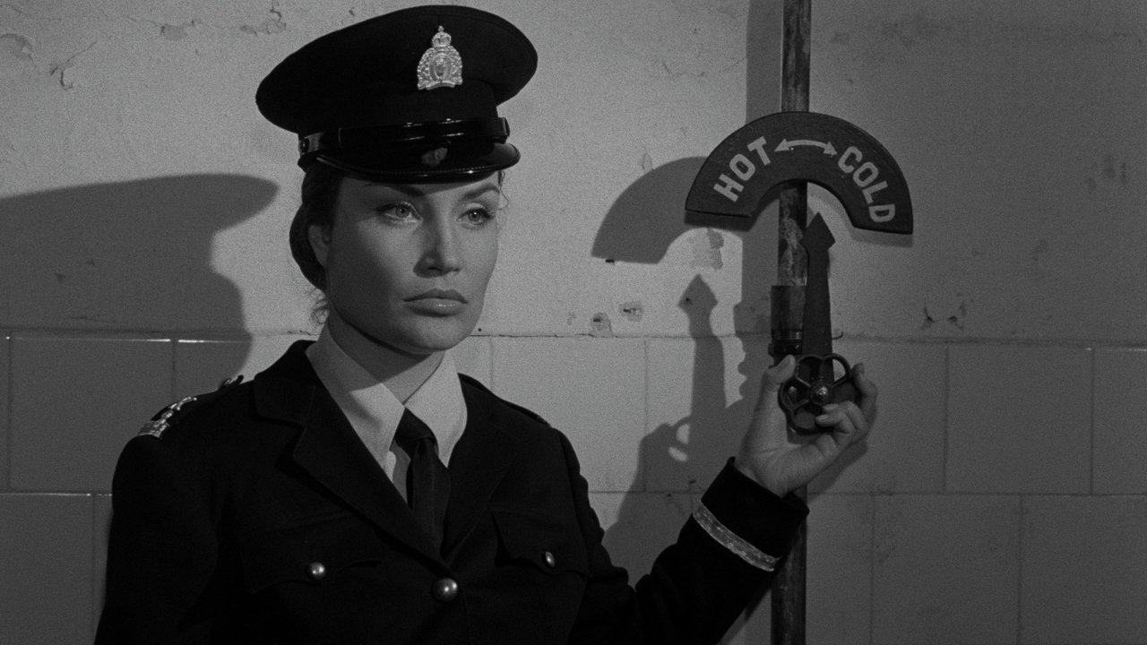 Devil's Girls backdrop