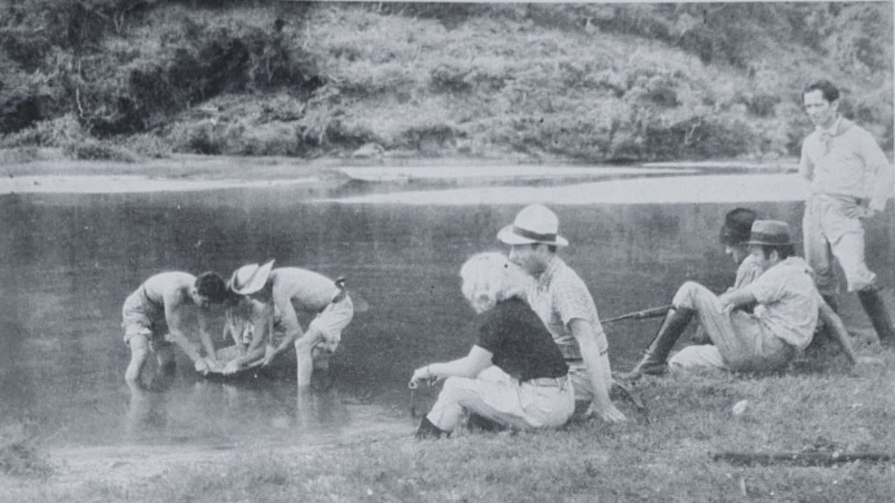 Black Diamonds backdrop