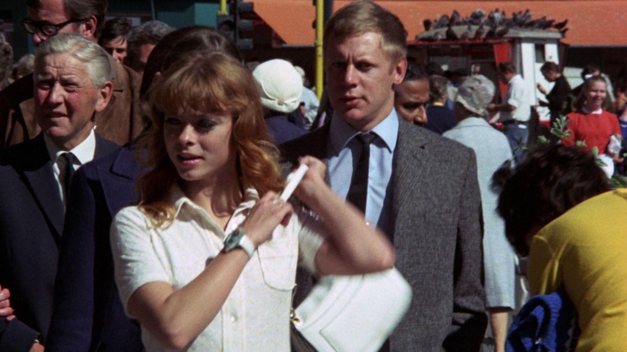 Dagmar's Hot Pants, Inc. backdrop