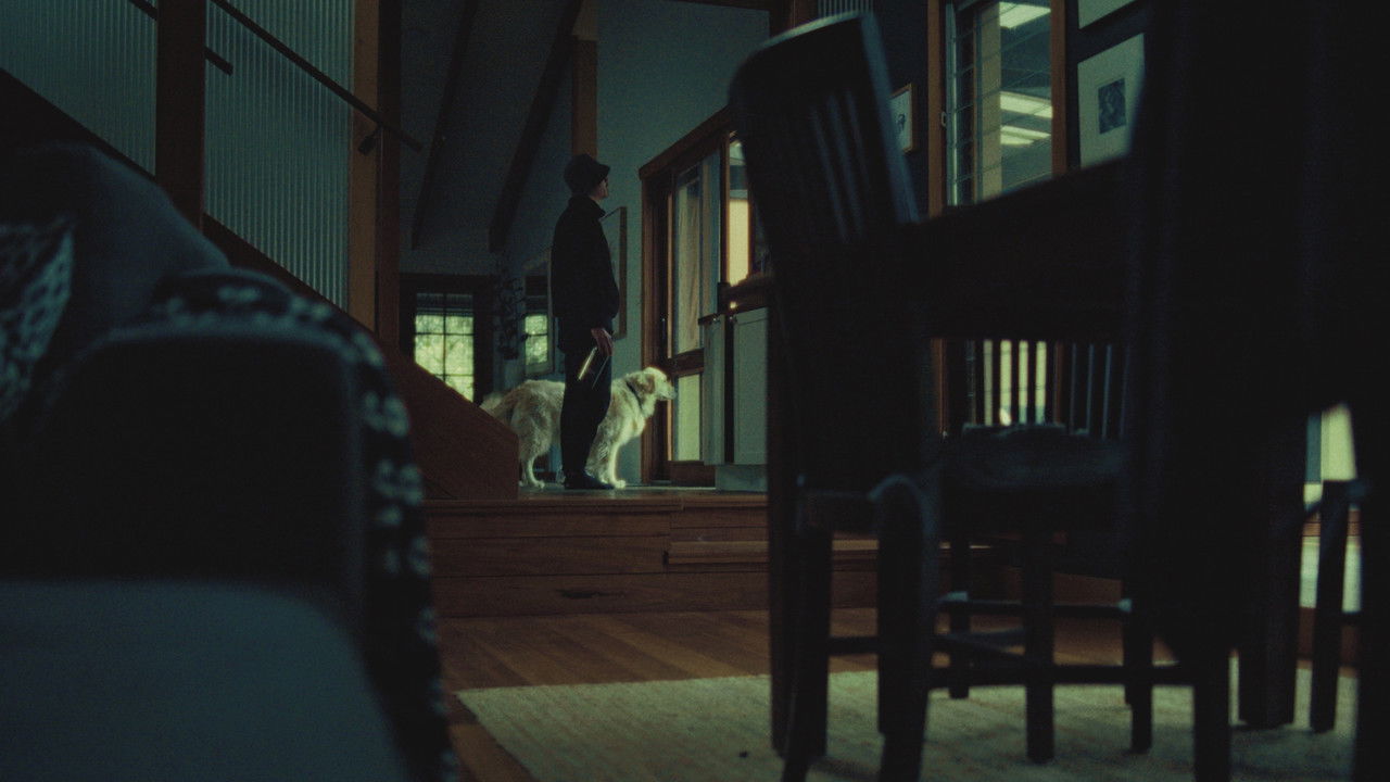 The Morning Comes backdrop