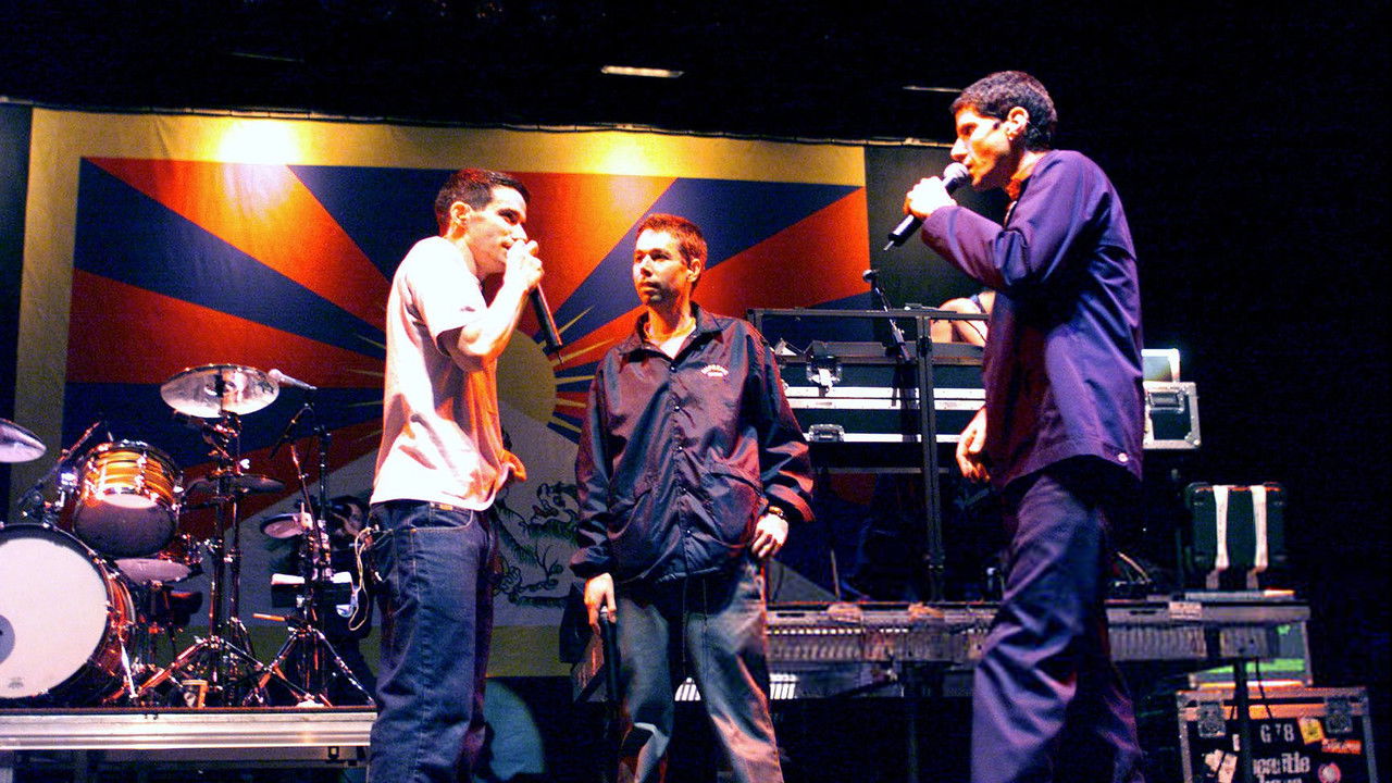 Beastie Boys: Tibetan Freedom Concert 1999 backdrop
