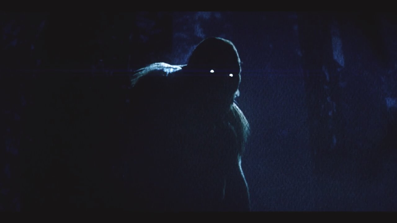 On the Trail of Bigfoot: Land of the Missing backdrop