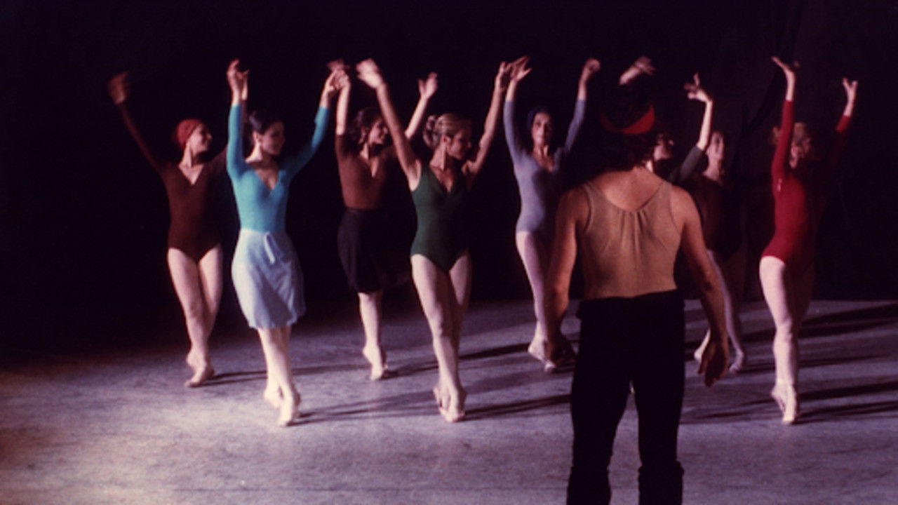 The Colors of Iris backdrop