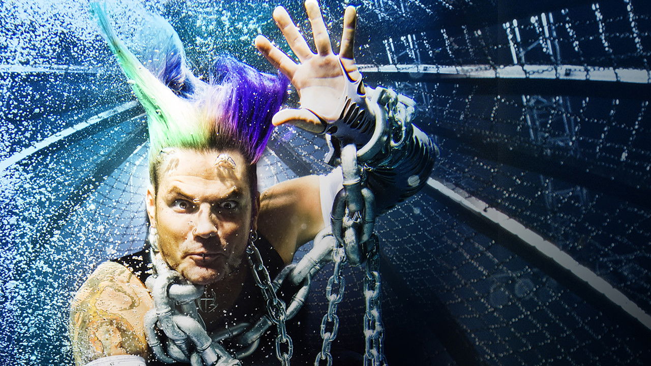 WWE No Way Out 2008 backdrop