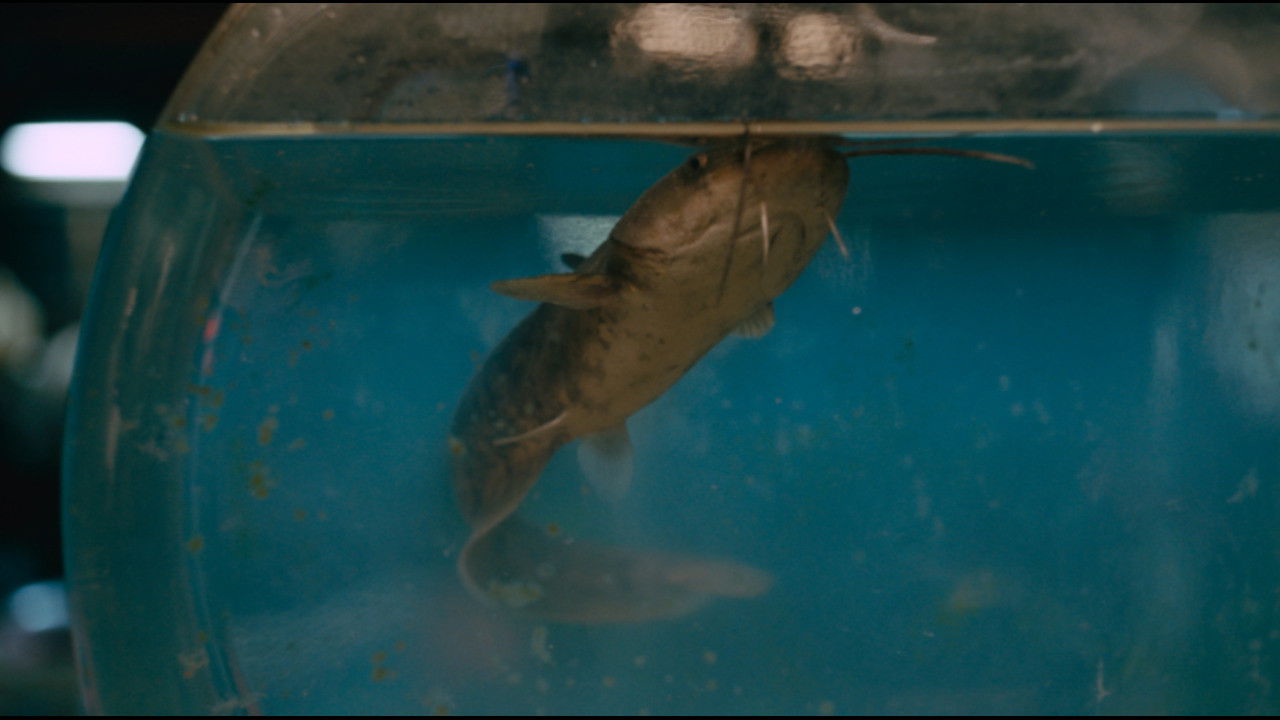 Sugar Glass Bottle backdrop