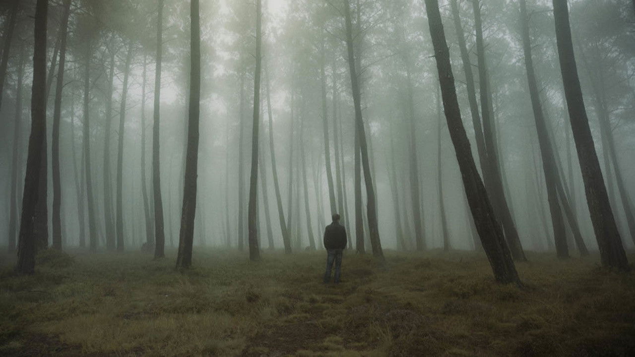 Outside the Oranges Are Blooming backdrop