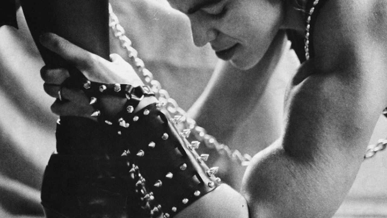 BloodSisters: Leather, Dykes, and Sadomasochism backdrop