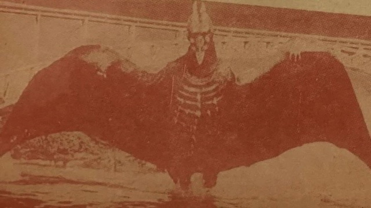 Bloodthirsty Hawk backdrop