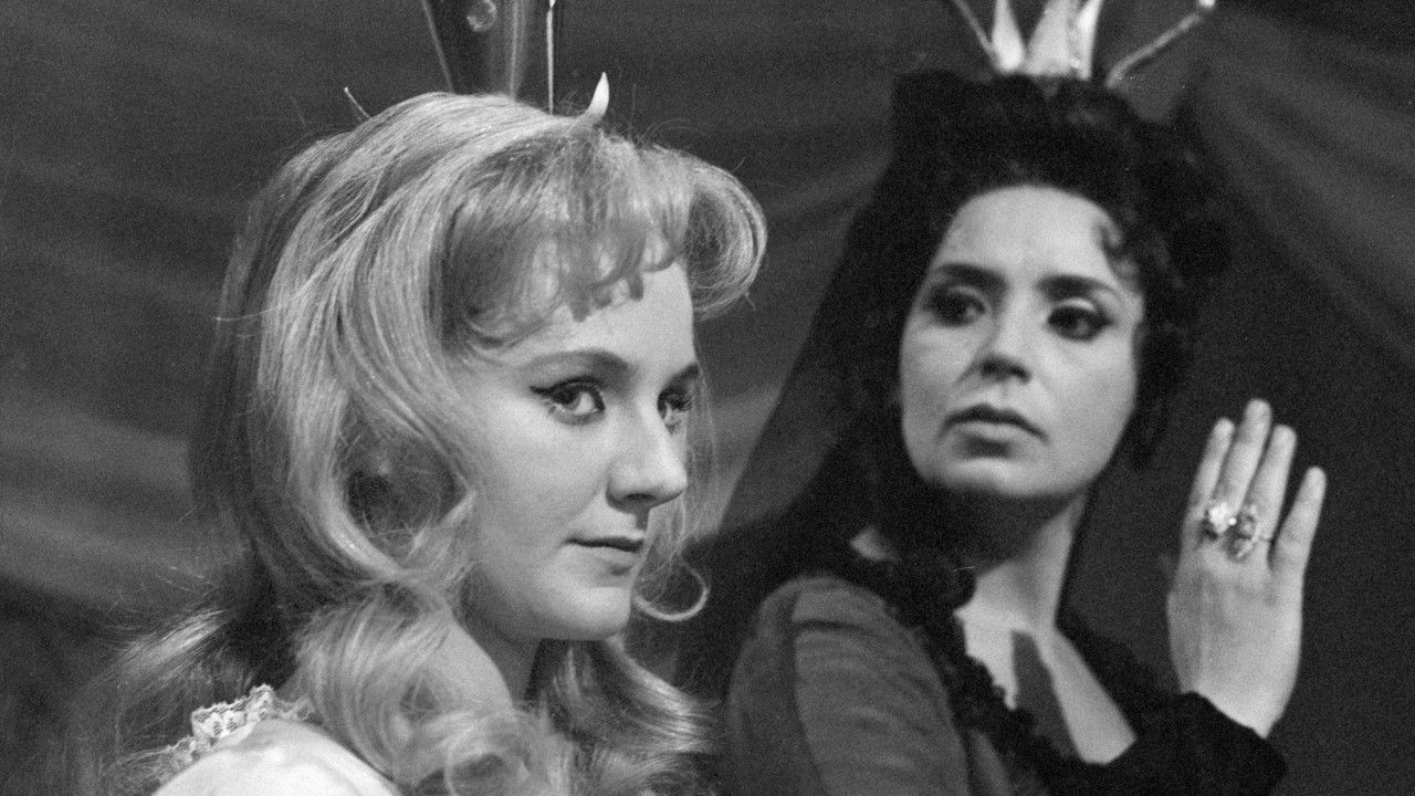 O pasáčkovi a labutích princeznách backdrop