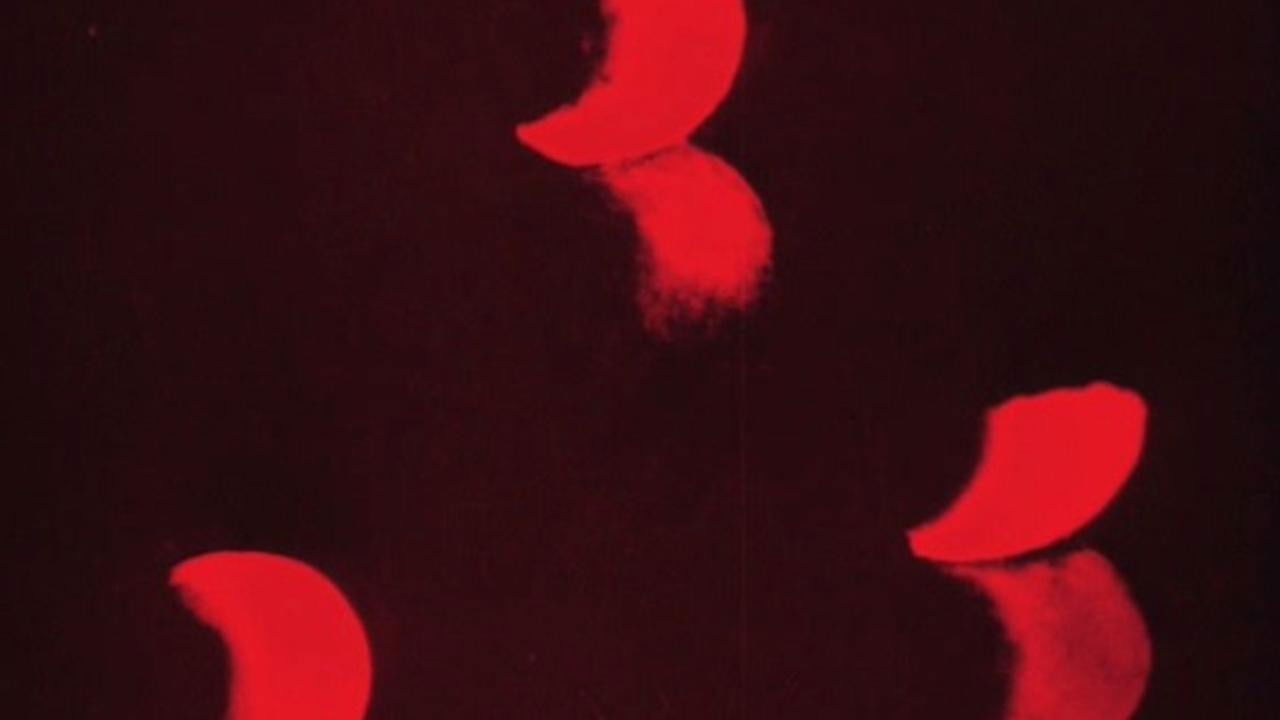 Lichtspiel: Opus I backdrop