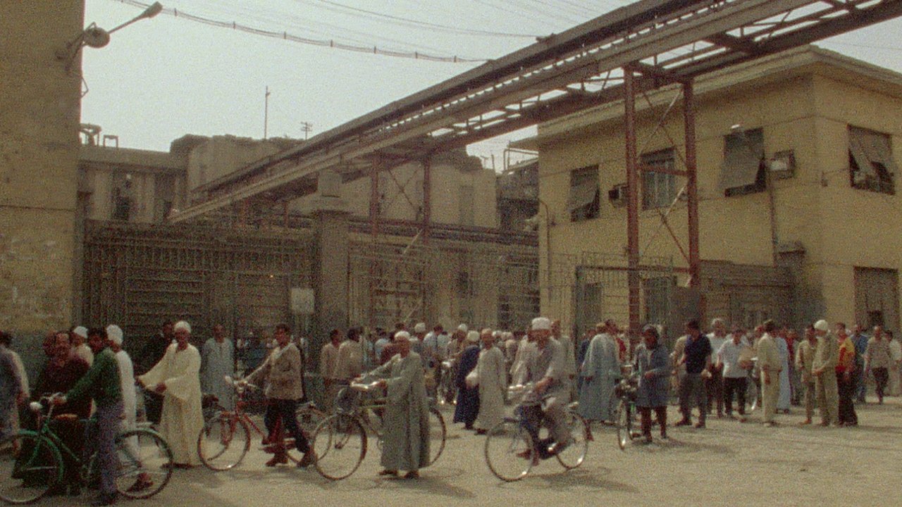 Too Early / Too Late backdrop