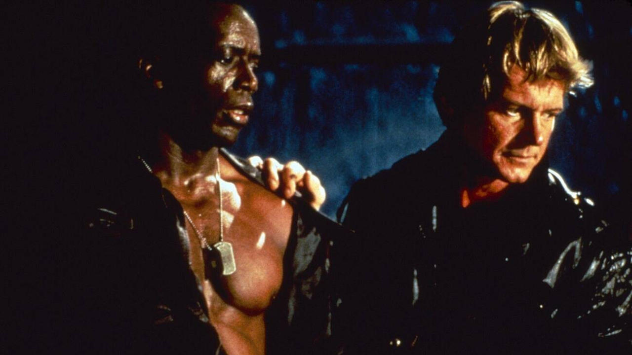 Back in Action backdrop