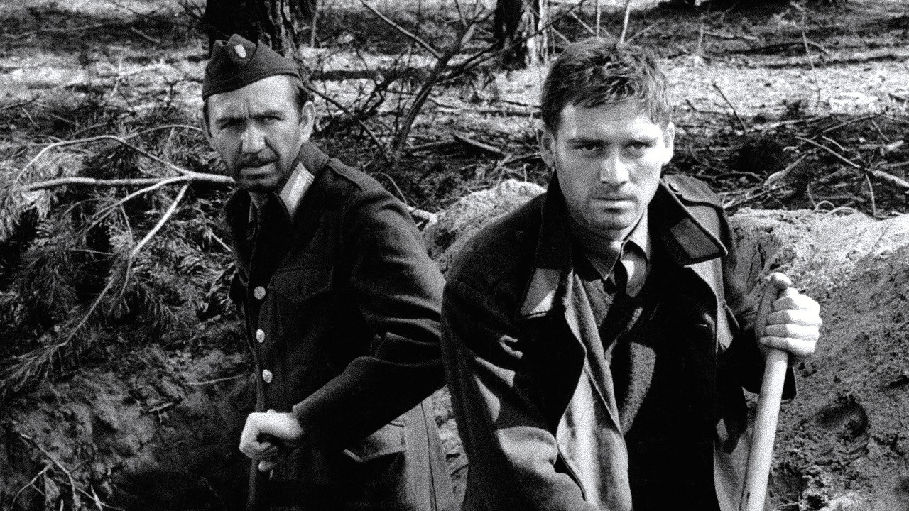 Mŕtvi nespievajú backdrop