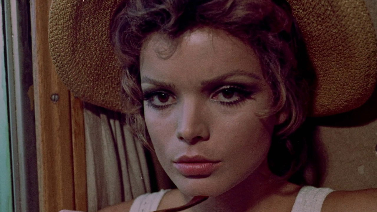 The Females backdrop