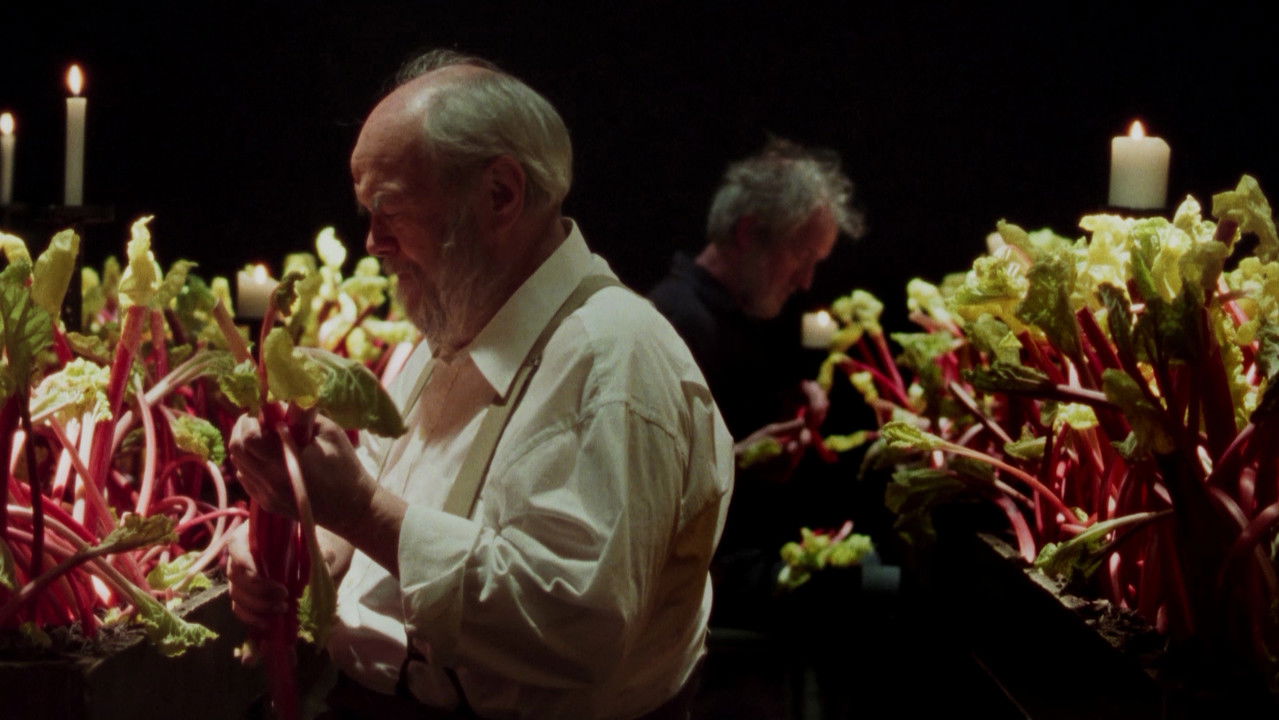 Grown in Darkness backdrop