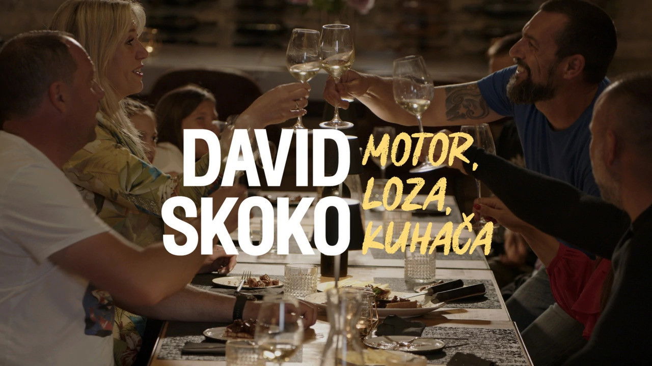 David Skoko: Motor, loza, kuhača backdrop