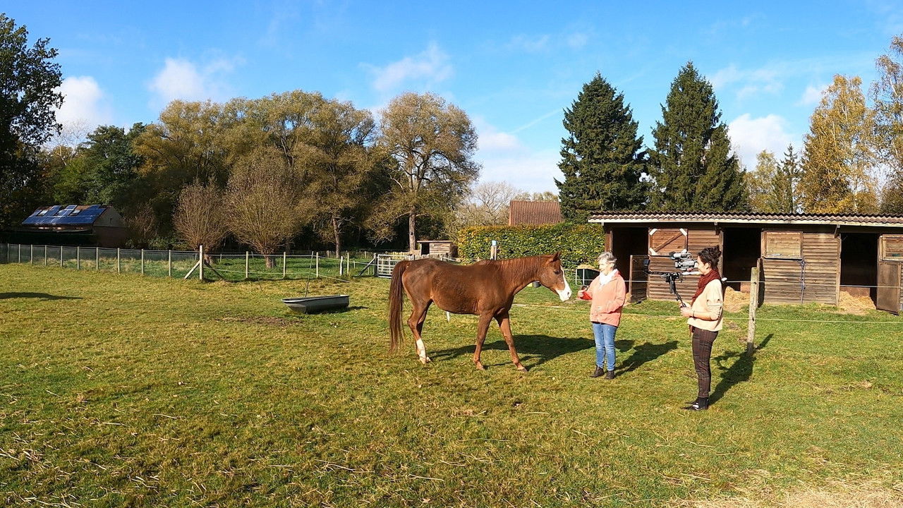 We Are Family backdrop