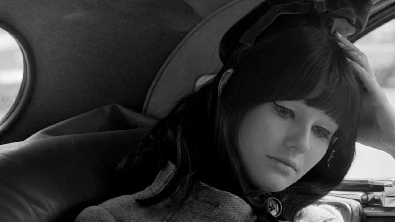 Where Are You? backdrop