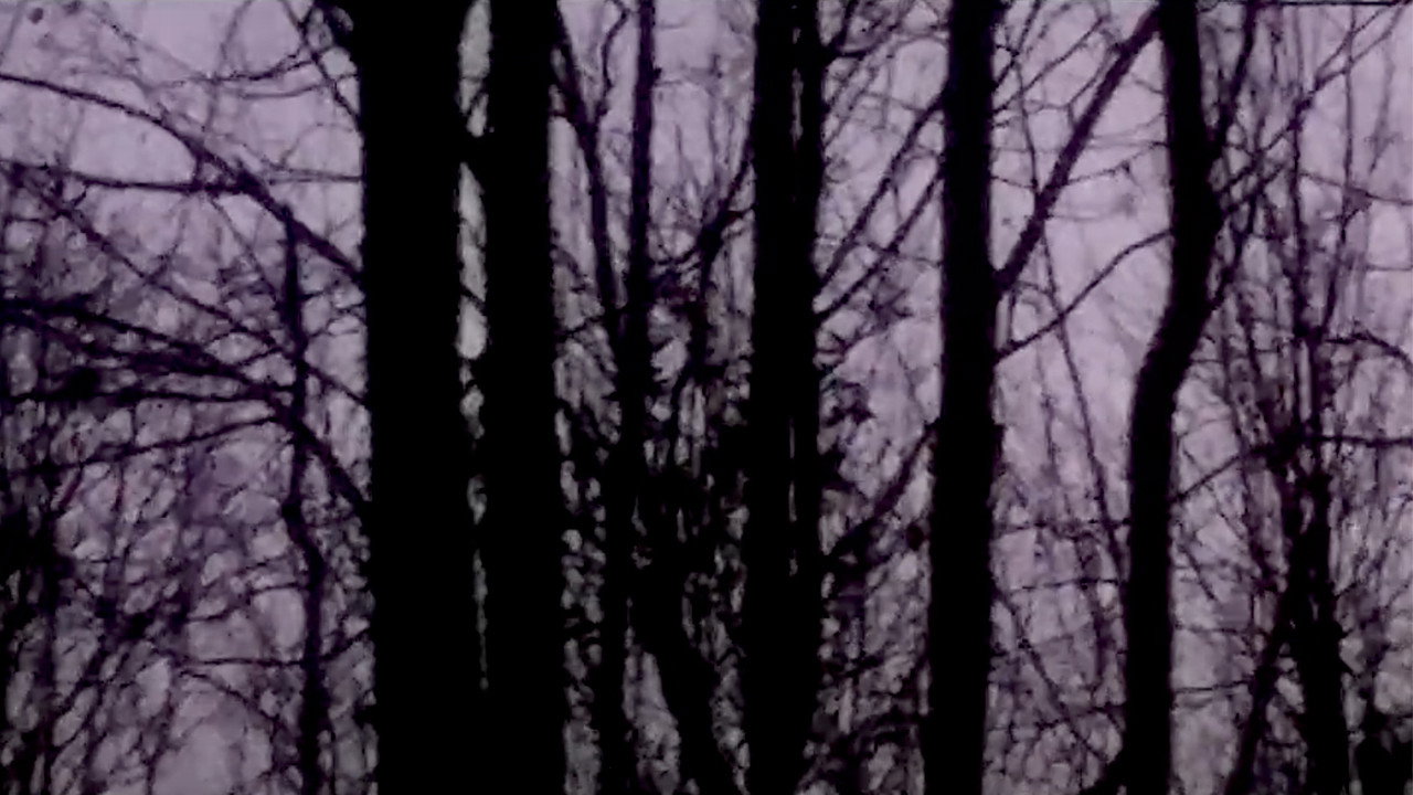 Notes From The Integrated Circuit backdrop